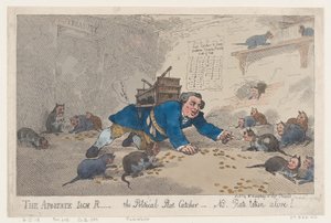 Le Renégat Jack Robinson, Le Chasseur de Rats Politique - N.B. Rats Pris Vivants!, mars 1784 - Thomas Rowlandson