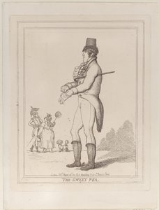 Le Pois de senteur - Thomas Rowlandson