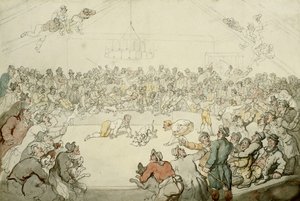 Le Westminster Pitt, 1798 - Thomas Rowlandson