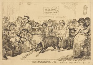 Le merveilleux cochon - Thomas Rowlandson