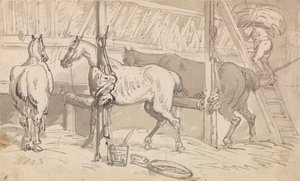 Trois chevaux dans leurs boxes - Thomas Rowlandson