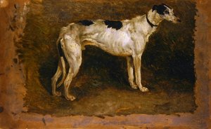 Un lévrier - Thomas Sidney Cooper