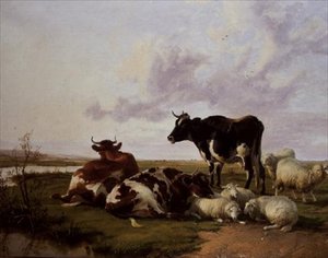 Bétail et moutons paissant