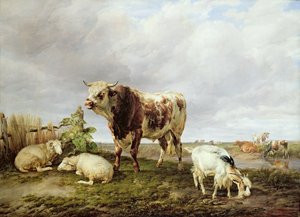 Bétail dans le pré - Thomas Sidney Cooper
