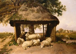 Moutons se Reposant sous un Abri - Thomas Sidney Cooper
