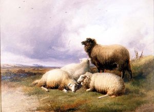 Moutons dans un paysage