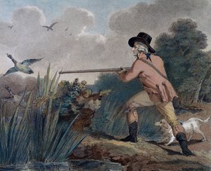 Chasse au canard - Thomas Simpson
