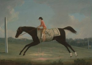 Borlase Cokayne en garçon montant Sultana - Thomas Smith of Derby