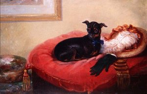 Son animal préféré : un terrier de Manchester sur un coussin rouge - Thomas Smythe