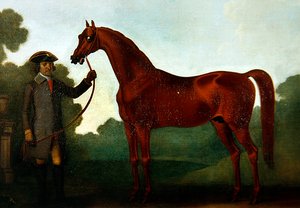 Le cheval arabe de M. Charles Wilson avec un palefrenier - Thomas Spencer