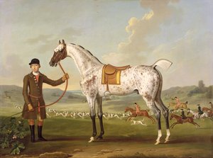 Scipio, le chasseur tacheté du colonel Roche - Thomas Spencer