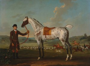Scipio, un chasseur tacheté, propriété du colonel Roche - Thomas Spencer