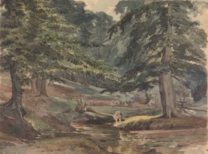 Scène de rivière boisée