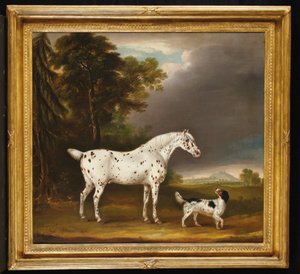 Cheval Appaloosa et épagneul, 1807 - Thomas Weaver
