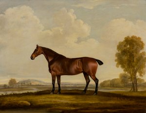 Georgiana : un cheval - Thomas Weaver