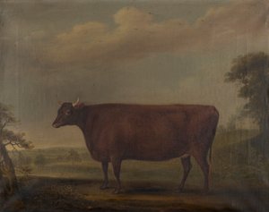 Génisses rouges du Devon dans un paysage, vers 1812 - Thomas Weaver