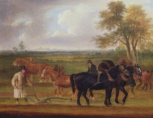 Le Concours de labourage, 1813 - Thomas Weaver