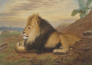 Un lion - Thomas William Wood