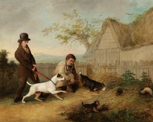 Chasse aux rats - Thomas Woodward