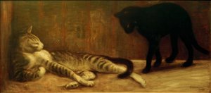 Chat et chatte