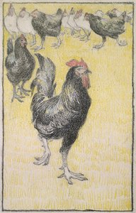 Coq, suivi de poules noires et blanches - Théophile Alexandre Steinlen