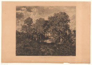 Vue sur la forêt de Fontainebleau avec une figure près d
