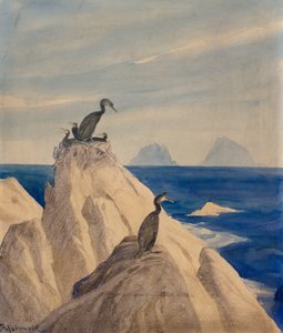 Fous de Bassan - Thorolf Holmboe