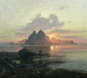 Phalacrocorax aristotelis au soleil de minuit - Thorolf Holmboe