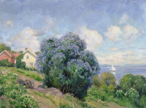 Paysage d