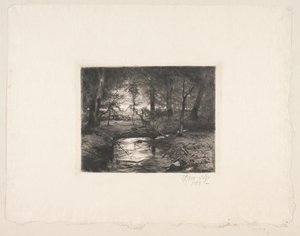 Rivière à Borrevejle Skov - Thorvald Niss