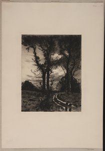 Chemin boueux entre les arbres - Thorvald Niss