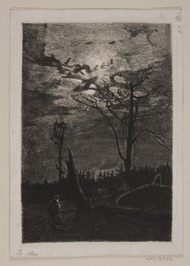 Défrichement. Soir