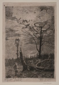 Défrichement. Soir
