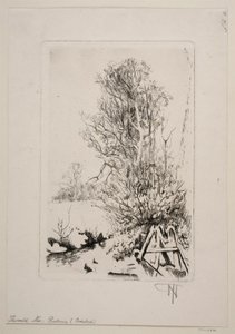 Arbres près d
