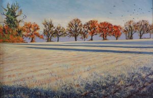 Givre sur le champ