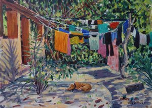Ombres de lessive, 2021 - Tilly Willis