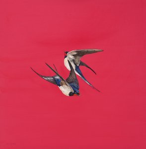 Tourbillon-Rouge - Tim Hayward