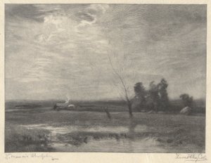 Paysage, après-midi - Timothy Cole