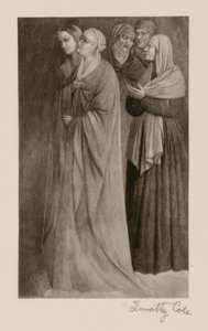 Anciens maîtres italiens - Timothy Cole