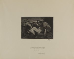 Anciens maîtres italiens - Timothy Cole