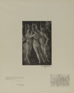 Anciens maîtres italiens - Timothy Cole