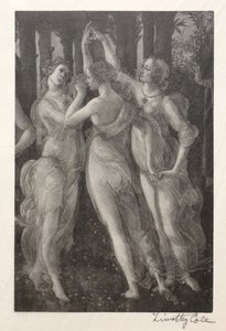 Maîtres italiens anciens : Les Trois Grâces - Timothy Cole