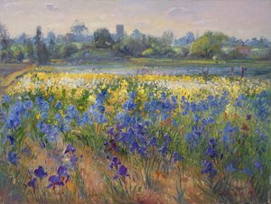Brume bleue à Burgate, 1993