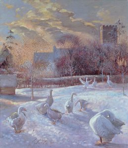 Première Lumière, 1994 - Timothy Easton
