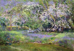 Ruches en forêt - Timothy Easton