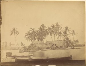 [Baie de Limón, isthme de Darién (Panama)] - Timothy H. OSullivan