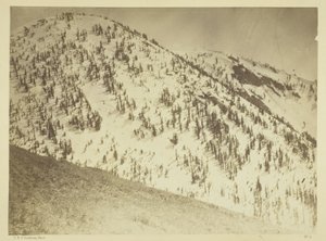 Snow Peaks, district minier de Bull Run, Nevada