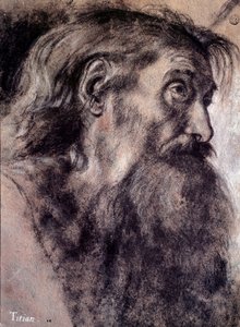 Tête de vieil homme - Titian (c.1488 1576)