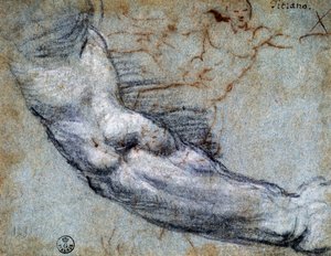 Étude de bras, par Titien - Titian (c.1488 1576)