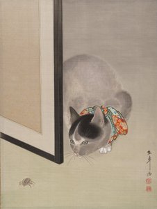 Chat regardant une araignée, vers 1888-92.